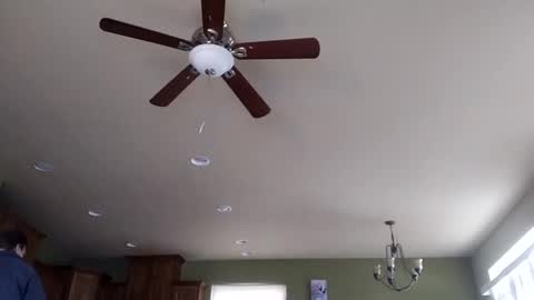 Snapshot of iminyourroom chatting on 01/31/25, 08:22 Iminyourroom online show from 01/31/25, 08:22