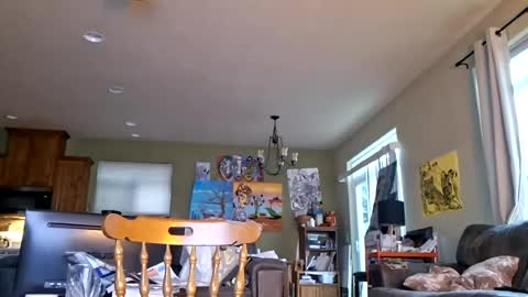 Snapshot of iminyourroom chatting on 07/17/26, 03:35 Iminyourroom online show from 07/17/26, 03:35
