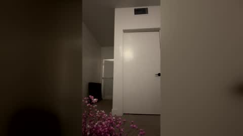 Snapshot of imlightskn chatting on 04/09/26, 06:13 imlightskn online show from 04/09/26, 06:13