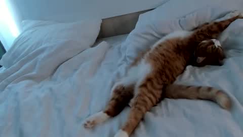 my name Imo  Fansly  online show from 02/20/25, 09:00