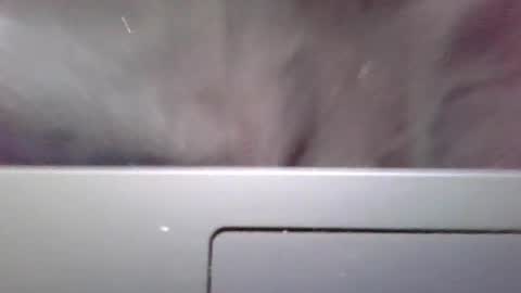 Snapshot of imstillstrokin chatting on 10/22/25, 07:35 imstillstrokin online show from 10/22/25, 07:35