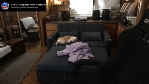 Carter online show from 03/11/26, 05:35