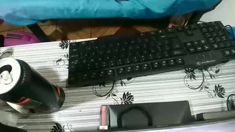 Candy cat online show from 10/23/25, 07:01