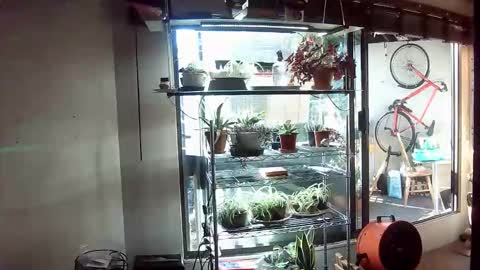 BroLOU online show from 06/11/26, 02:53
