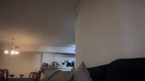 Snapshot of indiscriminator chatting on 10/18/25, 08:20 just1dude online show from 10/18/25, 08:20