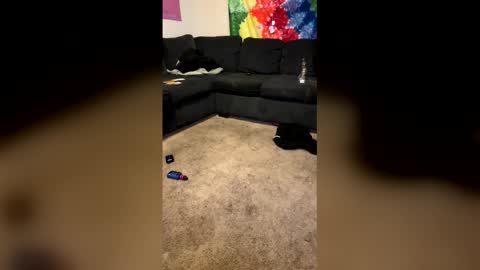 Snapshot of infamouslibby chatting on 02/08/26, 10:18 InfamousLibby Linktree online show from 02/08/26, 10:18