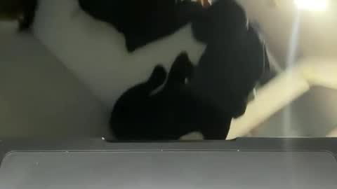 Snapshot of infamouslucas chatting on 12/02/24, 10:23 Lucas online show from 12/02/24, 10:23