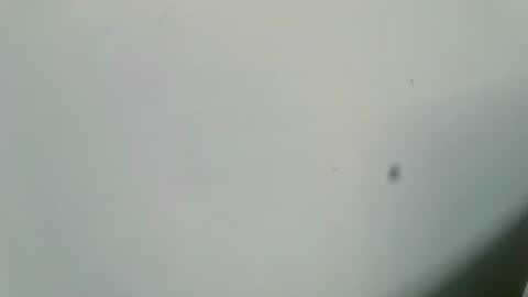 Inglorious Hairy Uncut online show from 02/16/25, 06:54