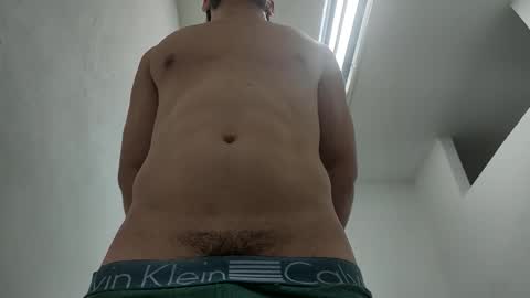 Snapshot of insistente chatting on 02/11/26, 03:39 INSTAGRAM camilodlx online show from 02/11/26, 03:39