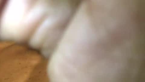 InternationalGodFather online show from 01/27/25, 03:18