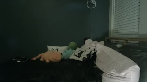 Snapshot of internetangels chatting on 12/11/24, 12:33 Angel online show from 12/11/24, 12:33