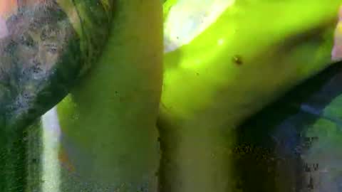 Marek online show from 03/02/25, 06:08