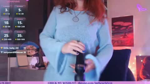 Snapshot of inthewildxxx chatting on 04/29/26, 01:04 Cassie online show from 04/29/26, 01:04