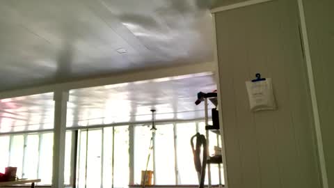 IntoTheWoodsWeGo online show from 10/20/25, 02:06