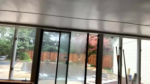 IntoTheWoodsWeGo online show from 10/30/25, 02:18