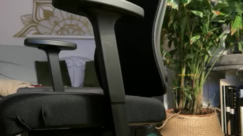 Snapshot of intressiert chatting on 02/19/26, 05:31 intressiert online show from 02/19/26, 05:31