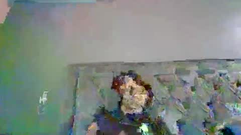 Snapshot of introducingthebrilliance chatting on 10/06/25, 03:48 WillyTripleXxx online show from 10/06/25, 03:48