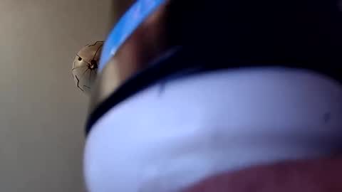 G. Teaser online show from 12/23/25, 09:29