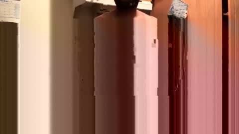 inyourmouthagain online show from 10/08/25, 09:29