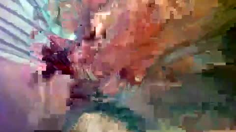 Snapshot of ipuck55 chatting on 12/14/24, 08:18 ipuck55 online show from 12/14/24, 08:18