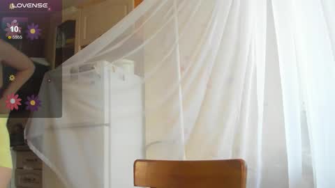 Iris online show from 11/12/25, 08:04