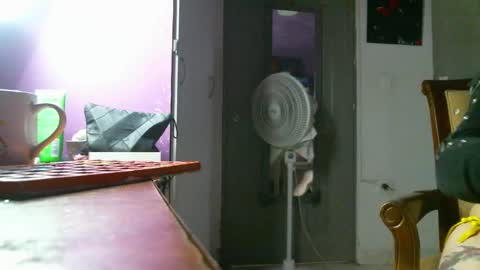 Snapshot of irisbell_ chatting on 12/22/24, 01:55 Camilla online show from 12/22/24, 01:55