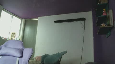 Snapshot of irisbell_ chatting on 03/01/25, 01:29 Camilla online show from 03/01/25, 01:29