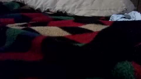 McDick online show from 03/27/26, 08:26