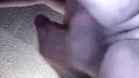 McDick online show from 03/30/26, 05:41