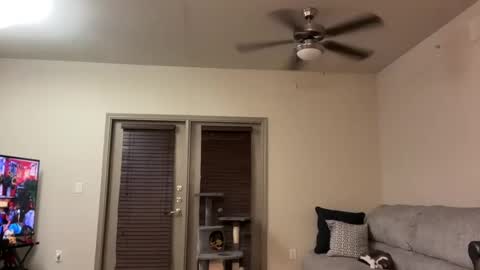 Snapshot of irissweets chatting on 03/12/25, 04:41 irissweets online show from 03/12/25, 04:41