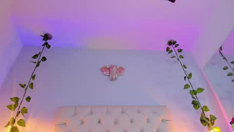   online show from 01/08/25, 03:19