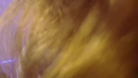 Isabella Rros online show from 11/06/25, 01:56