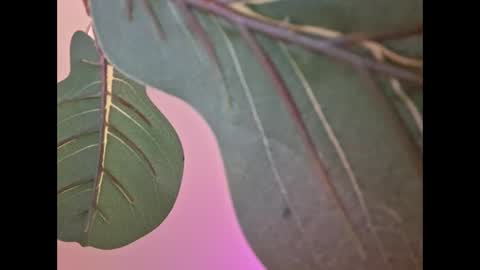 Isabella online show from 09/18/25, 04:58