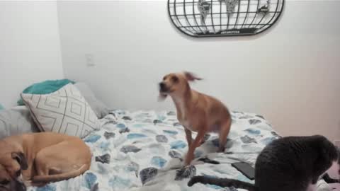 Snapshot of isabelprietoo chatting on 12/27/24, 05:52 Isa online show from 12/27/24, 05:52