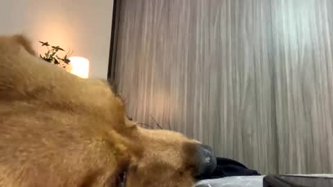 Snapshot of isabelprietoo chatting on 10/07/25, 01:47 Isa online show from 10/07/25, 01:47