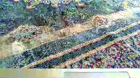 its_me_2323 online show from 10/05/25, 07:28