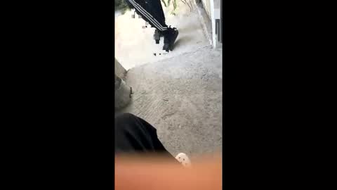 itsjayyourbae online show from 02/18/26, 11:11