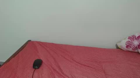 Laynne online show from 11/11/25, 09:53