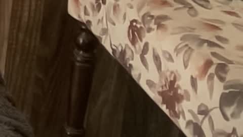 Raje online show from 11/11/25, 10:59