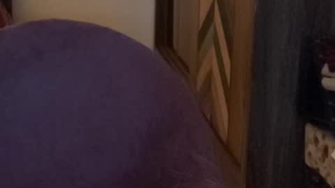 Raje online show from 11/15/25, 04:03