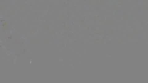 Snapshot of itsnyladior777 chatting on 06/06/26, 03:39 ItsNyladior online show from 06/06/26, 03:39