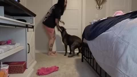 ivey jade online show from 11/05/25, 07:30