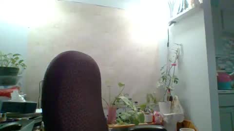 ivyjane3522 online show from 05/07/26, 02:00