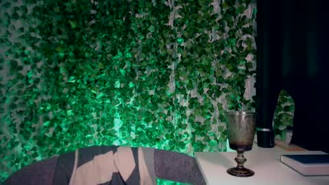 Snapshot of ivyjonson chatting on 12/28/24, 07:54 Miss Ivy online show from 12/28/24, 07:54