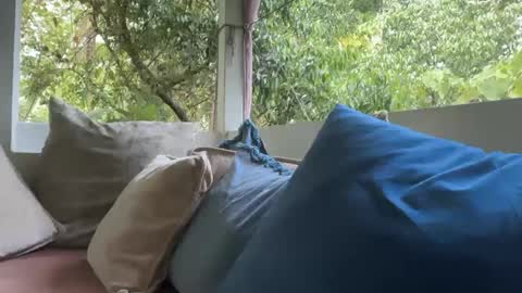 ivysagex online show from 09/12/25, 01:17