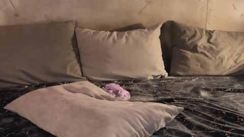 izi online show from 02/19/25, 09:47