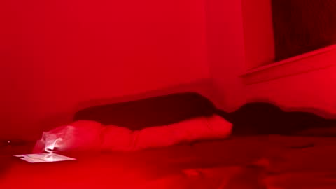 Snapshot of j4ckoff chatting on 11/22/25, 05:50 j4ckoff online show from 11/22/25, 05:50