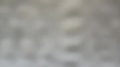 j727551 online show from 02/15/25, 07:28