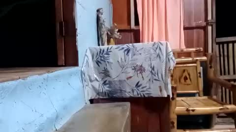 j828413 online show from 10/27/25, 11:25