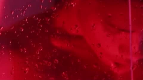 i am juan musiry independent model  online show from 11/22/25, 12:04